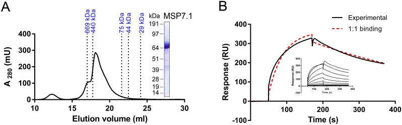 Fig 5