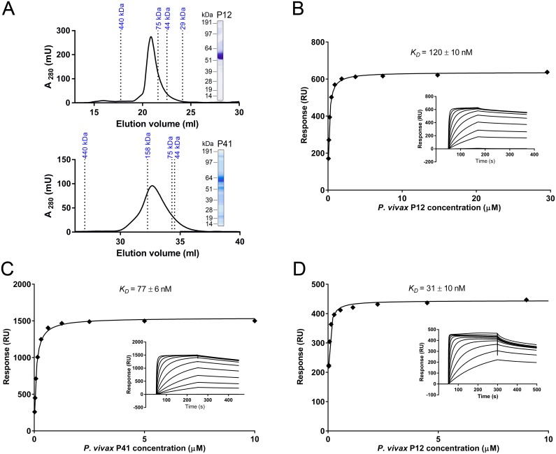 Fig 4