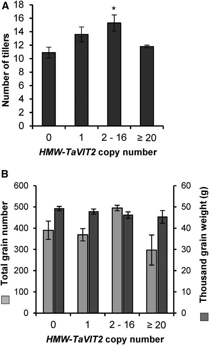 Figure 6.