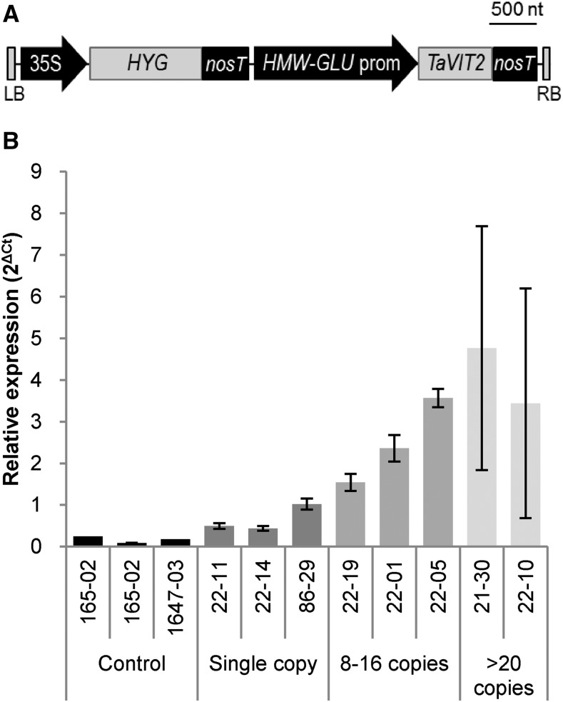 Figure 3.