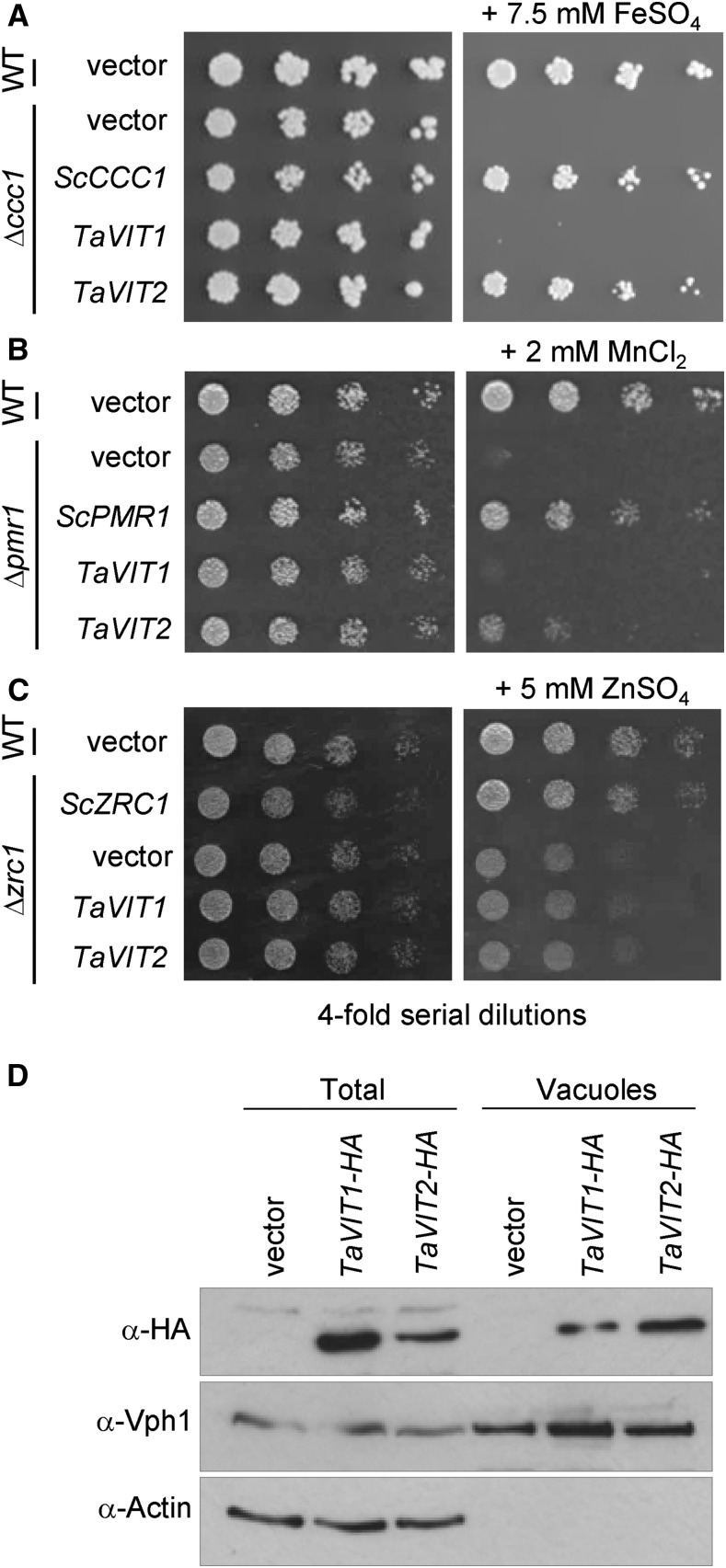 Figure 2.