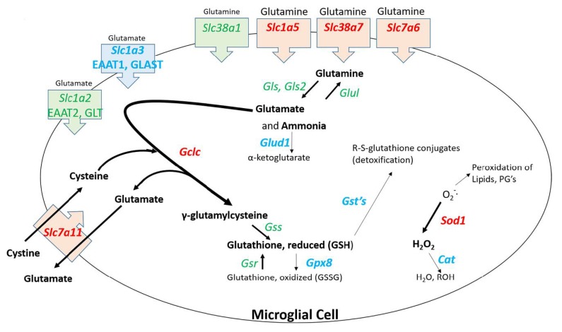 Figure 6