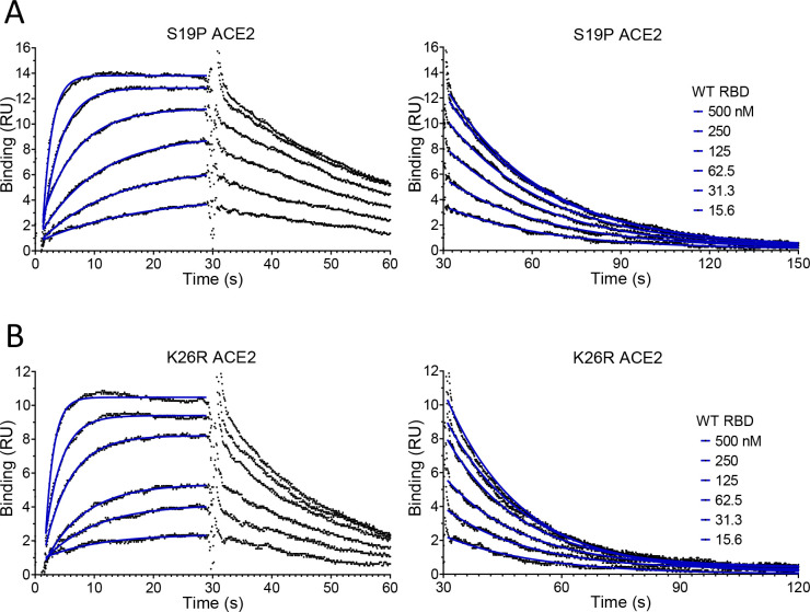 Figure 4—figure supplement 1.