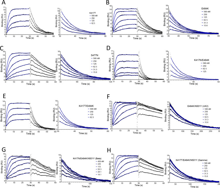 Figure 3—figure supplement 2.