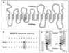 FIG. 1.