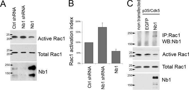 Figure 9.