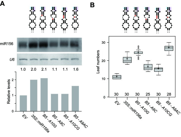 Figure 4.