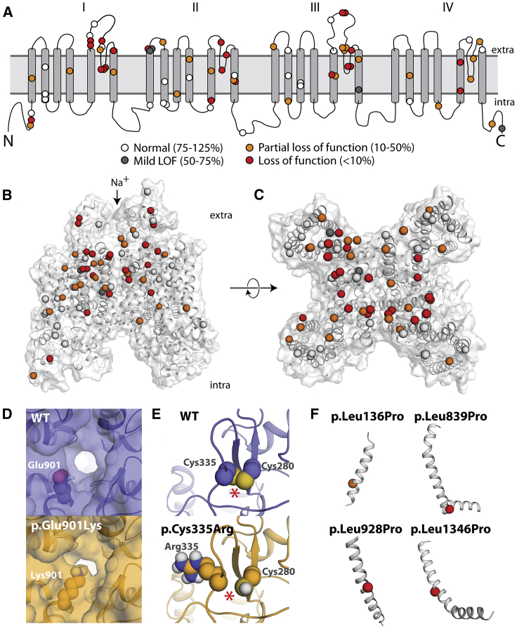 Figure 4