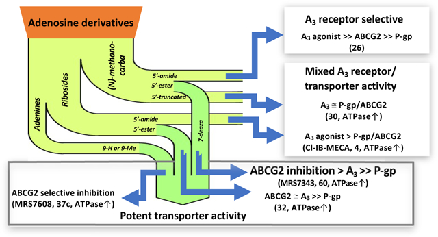 graphic file with name nihms-1780701-f0001.jpg