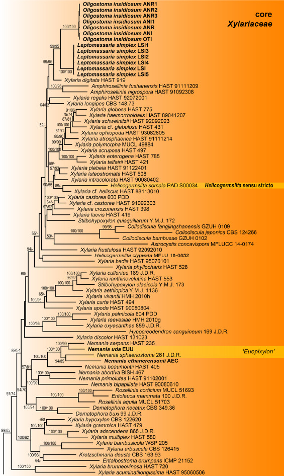 Fig. 1