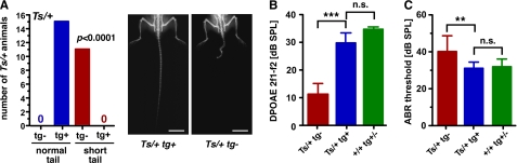 FIGURE 7.