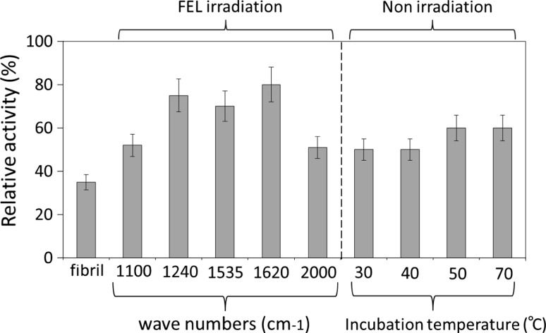 Fig. 4