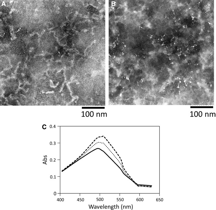 Fig. 3