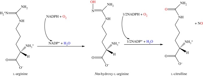 Scheme 1.