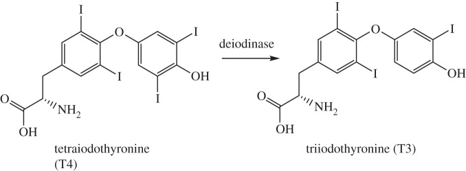 Figure 24.