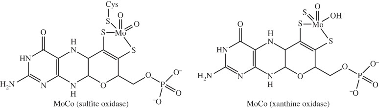 Figure 12.