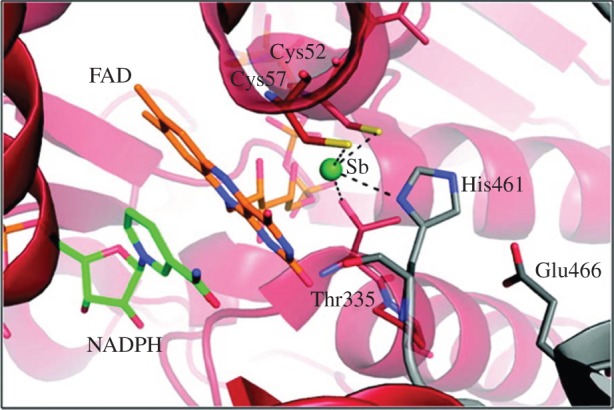 Figure 22.