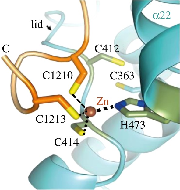 Figure 10.