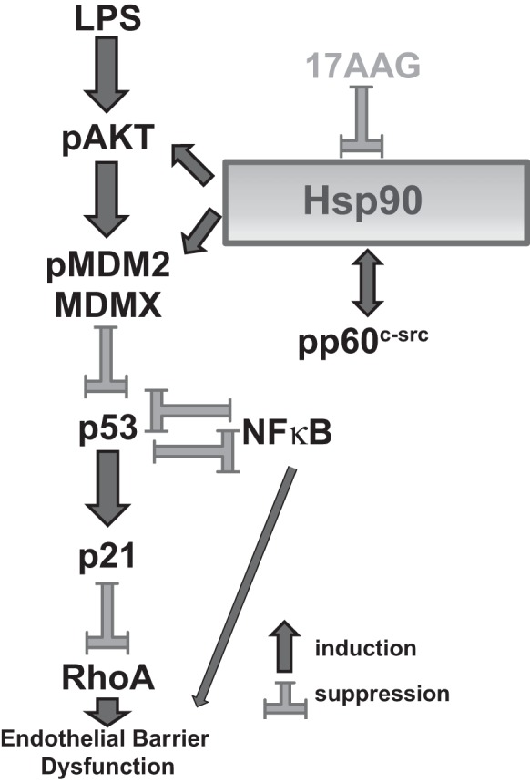 Fig. 9.