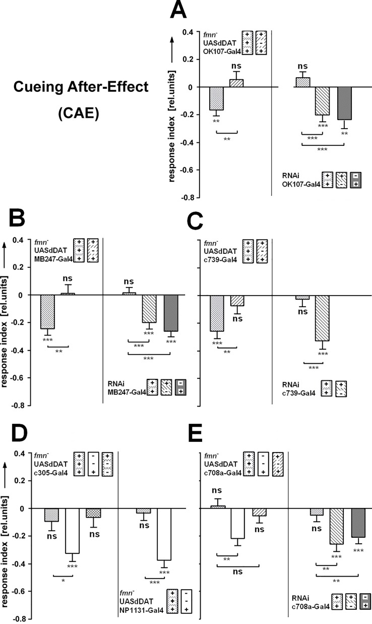 Fig 10