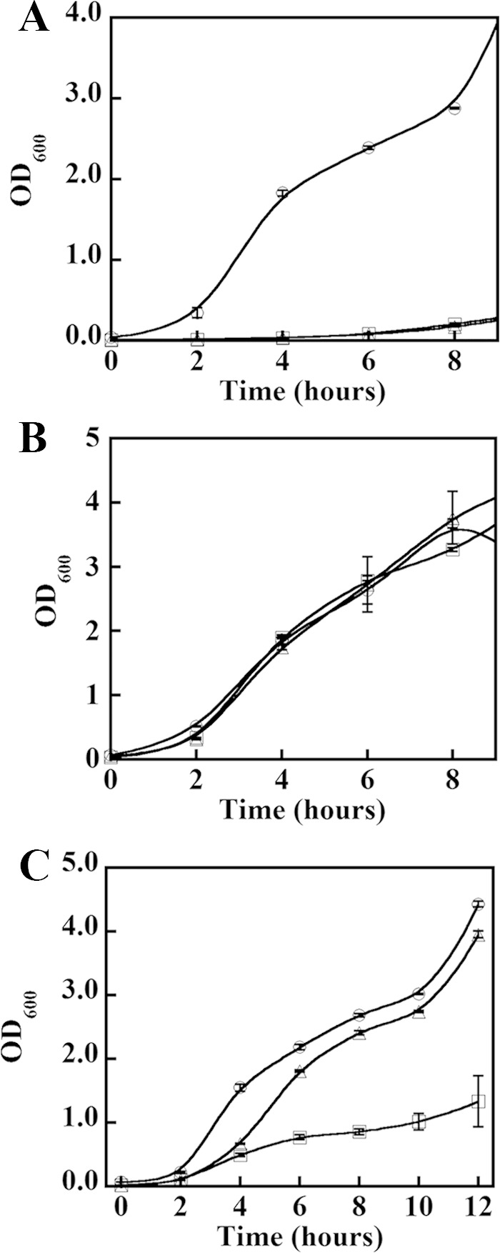 FIGURE 3.