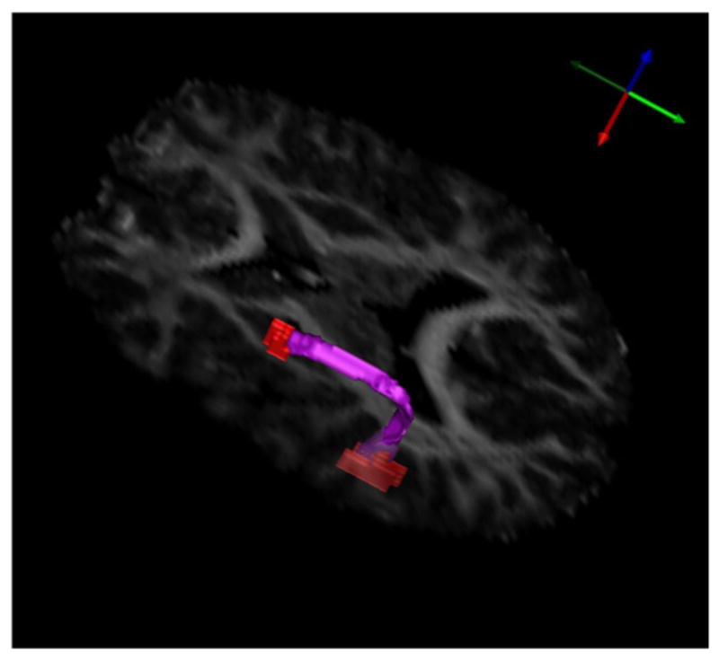 Fig. 2