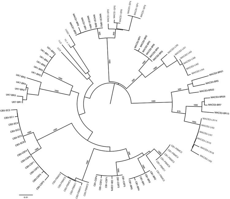 FIG. 1.