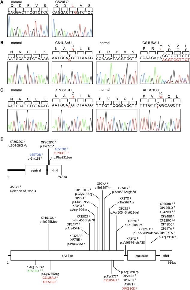 Figure 2