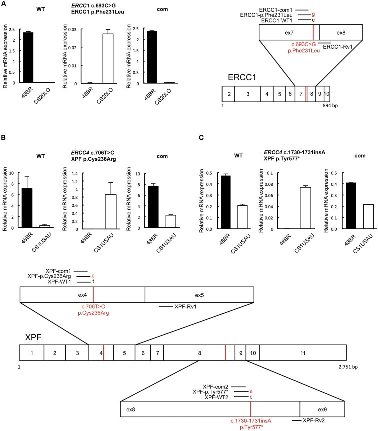 Figure 4