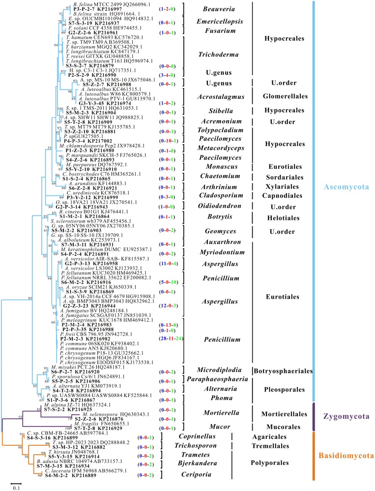 FIGURE 2