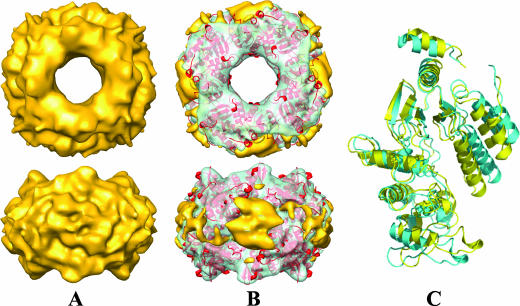 FIG. 3.