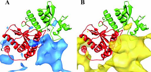 FIG. 4.