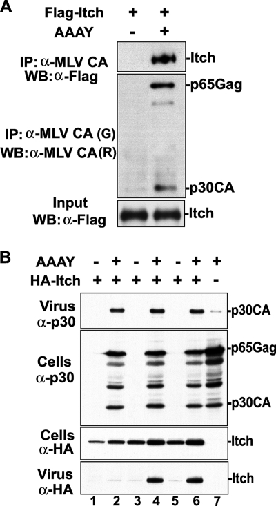 FIG. 6.