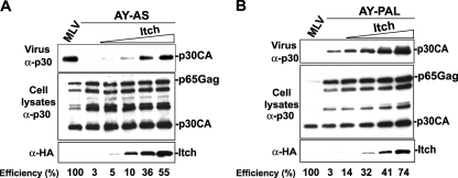 FIG. 4.