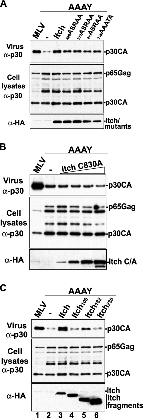 FIG. 5.