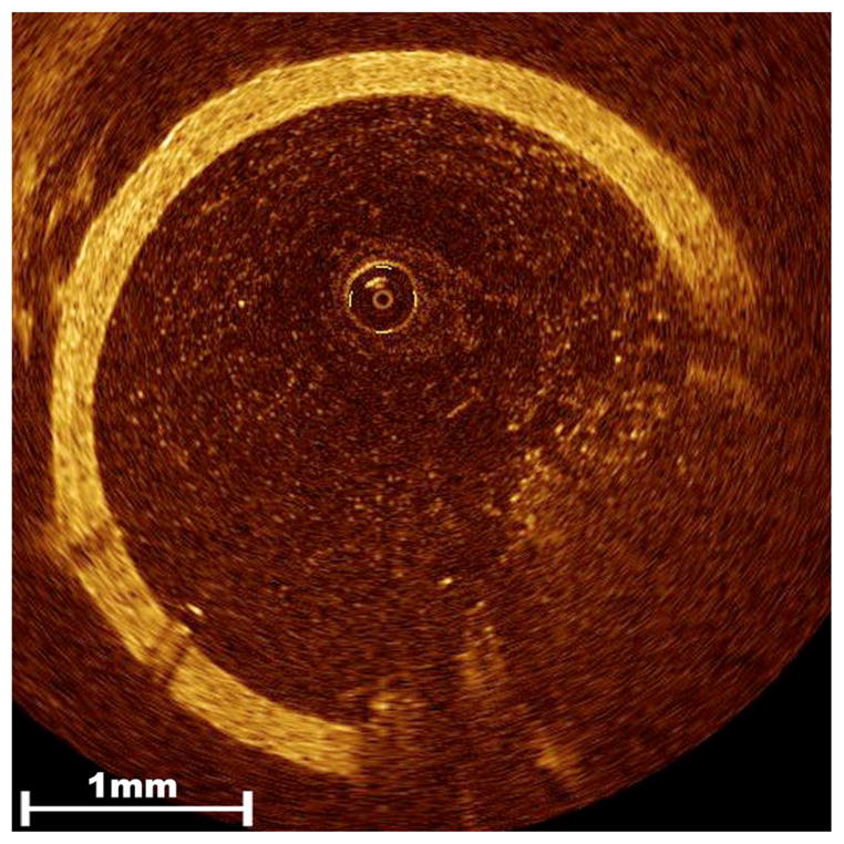 Fig. 6