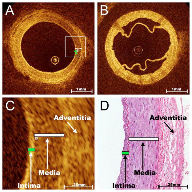 Fig. 2