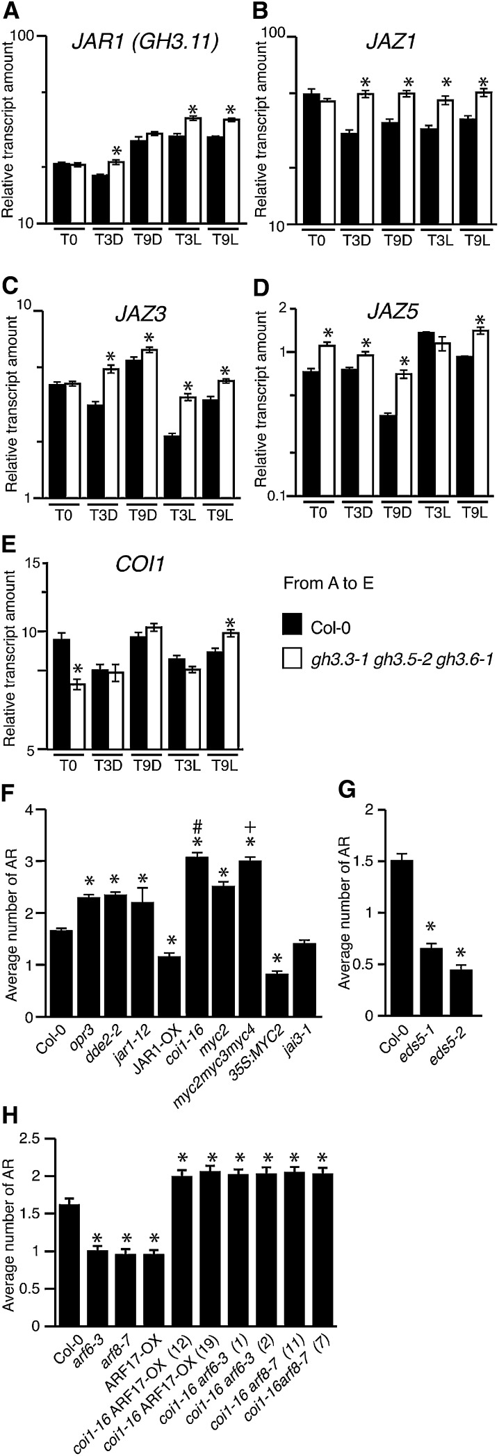 Figure 5.