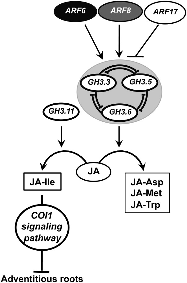 Figure 6.