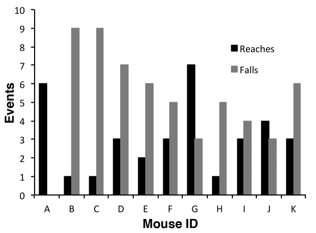 Supplementary Figure 2