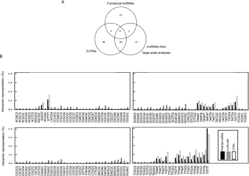 FIGURE 9.