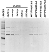 <b>FIG. 3.</b>