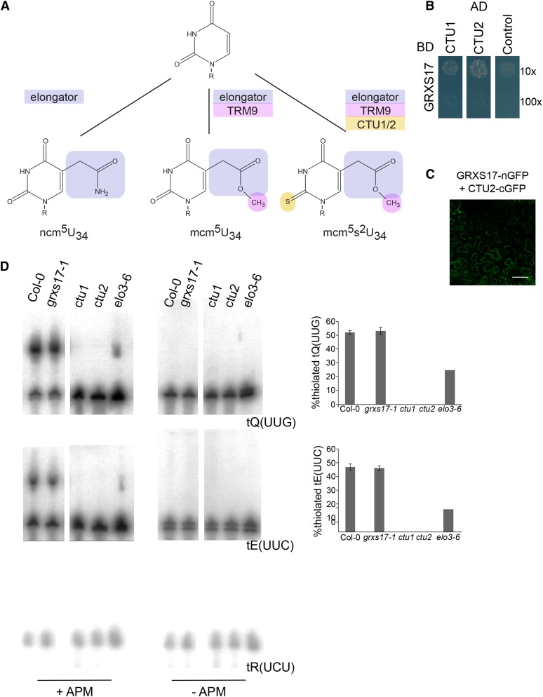 Figure 3.