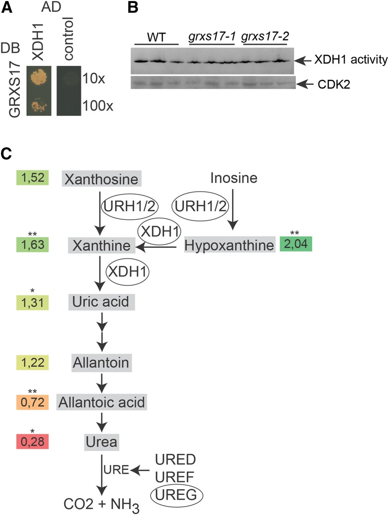 Figure 2.