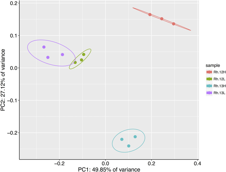 FIGURE 4