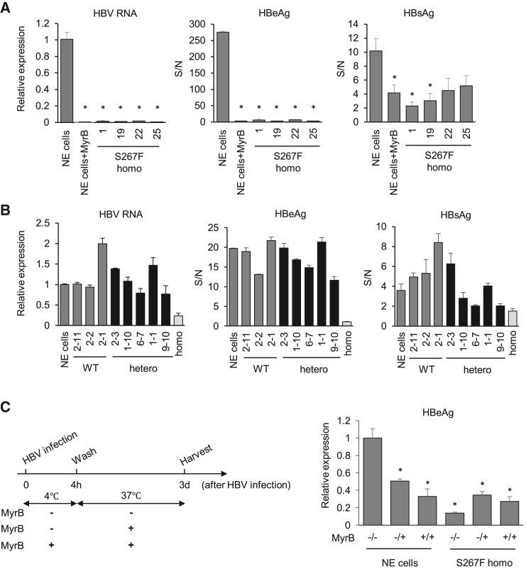 Figure 2