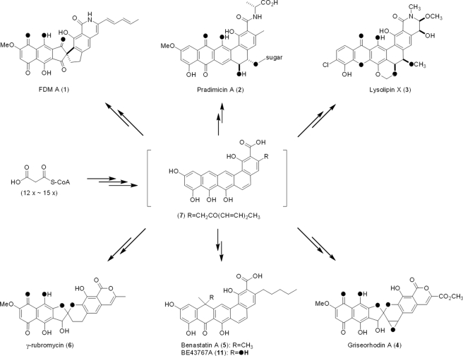 FIGURE 1.