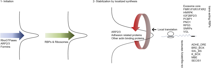 Figure 7