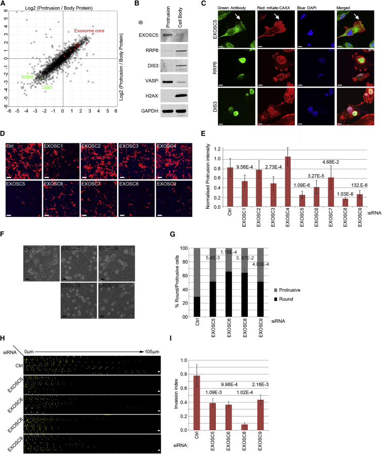 Figure 6