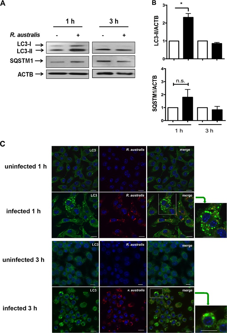 FIG 6